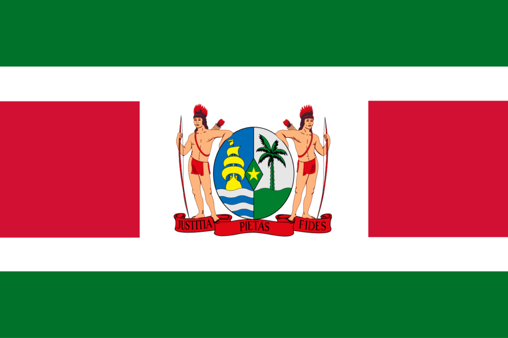 Suriname-6 flag