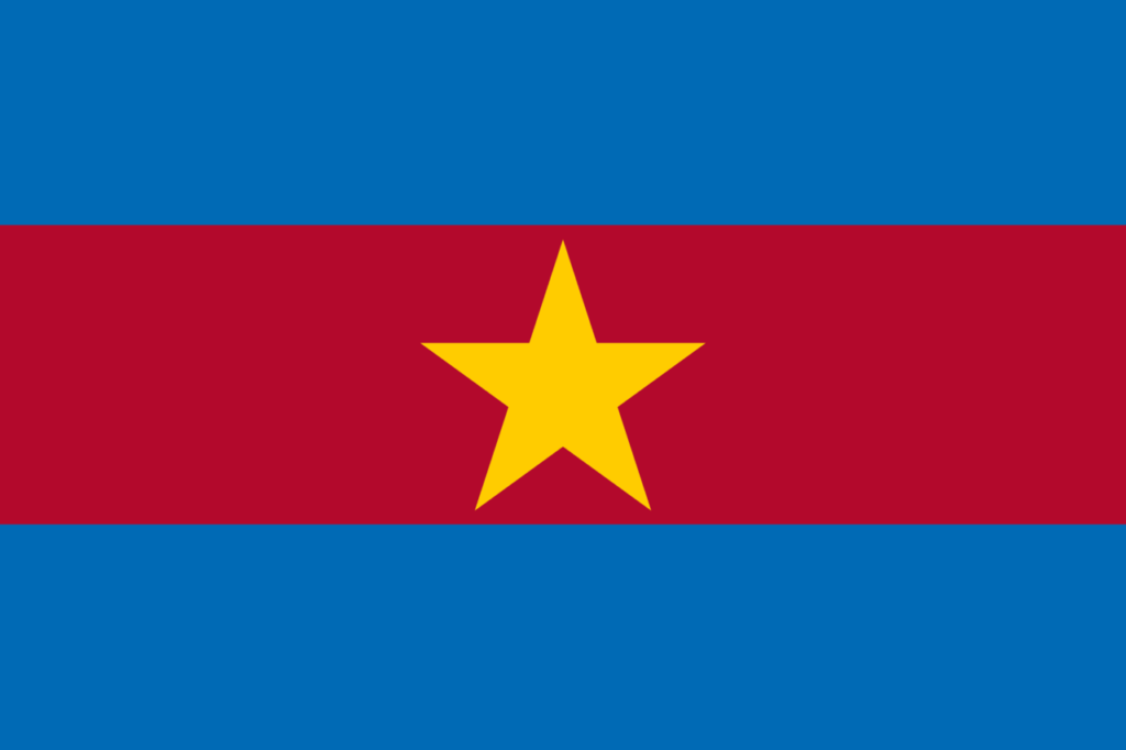 Suriname-7 flag