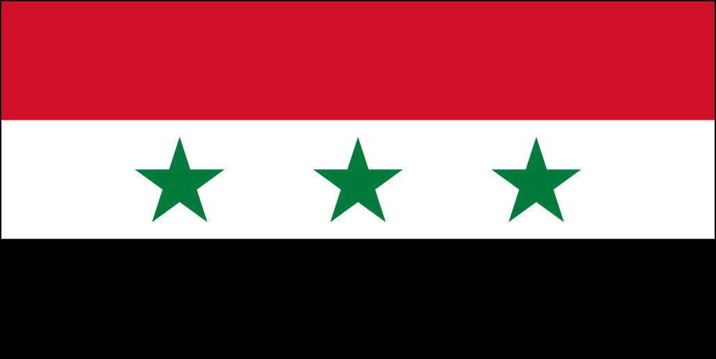 Vlag van Sirië-10