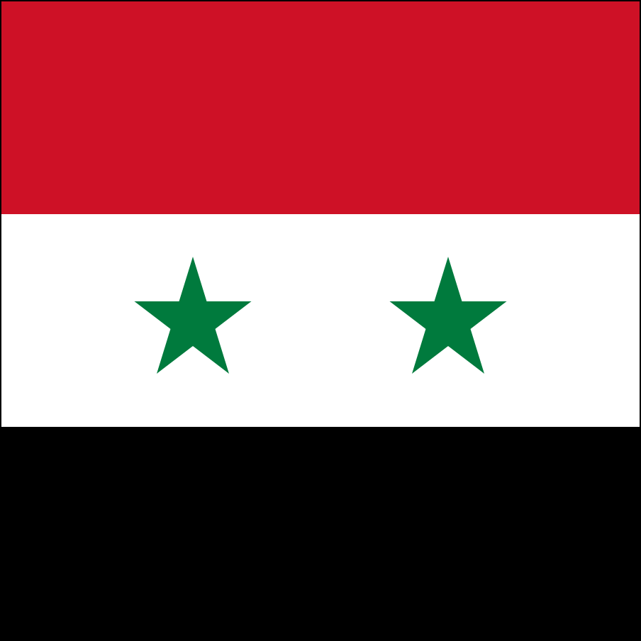 Bandera de Siria-15