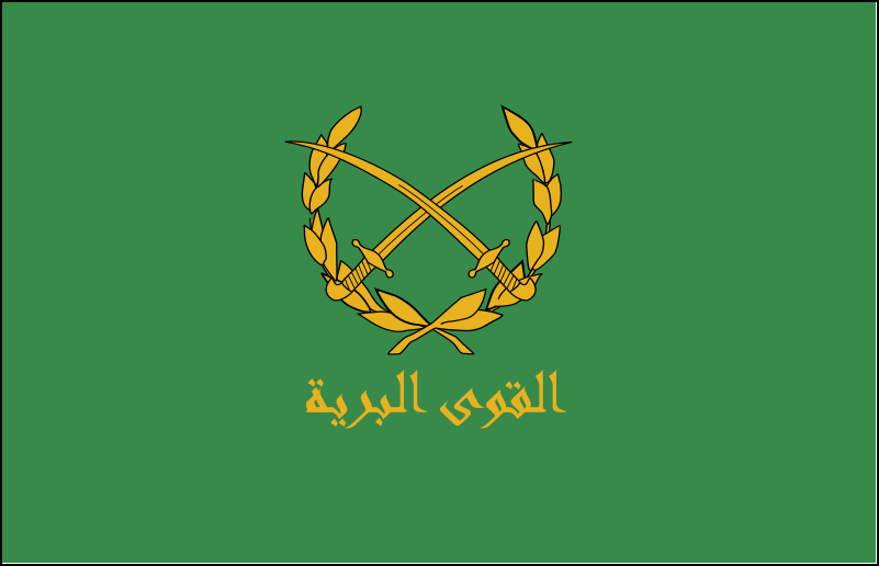 Flag of Syrien-17
