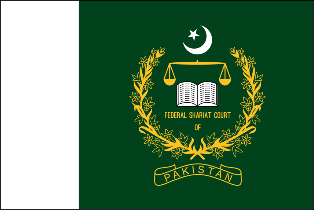 Vlag van Pakistan-13
