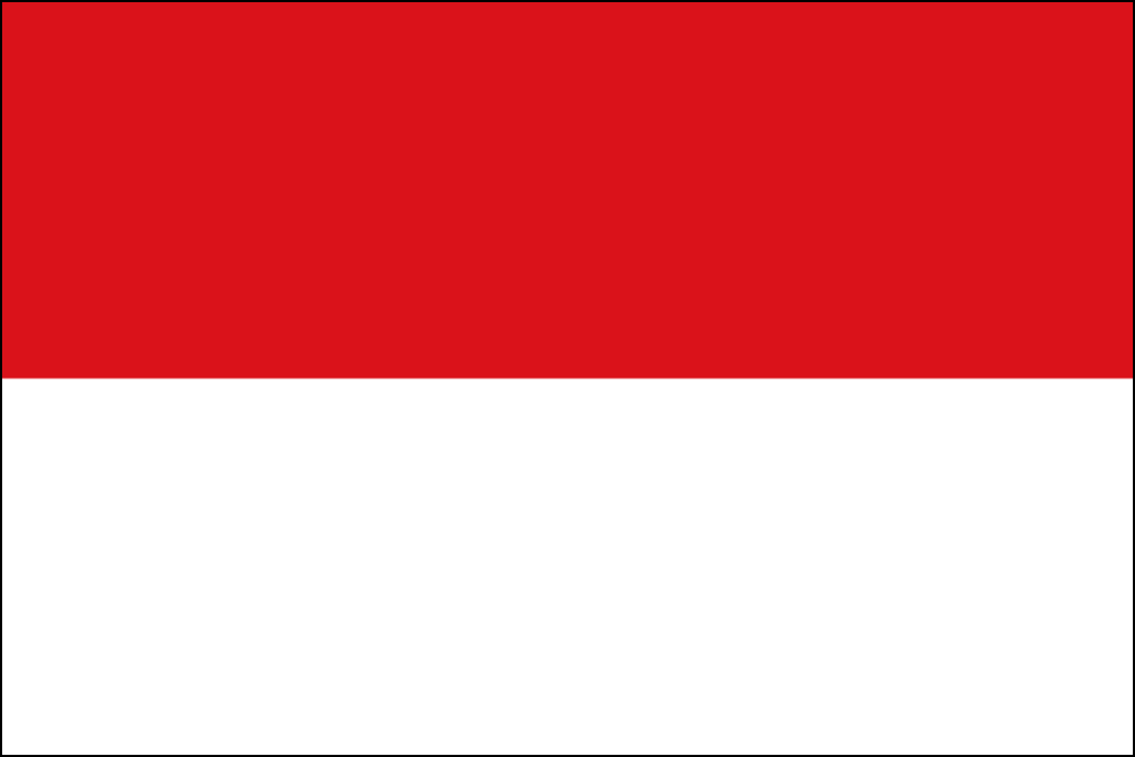 Bandera de Polonia-9
