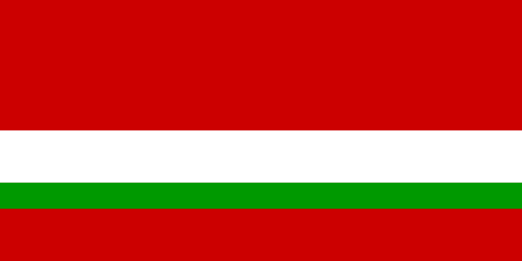 Flag of Tajikistan-16