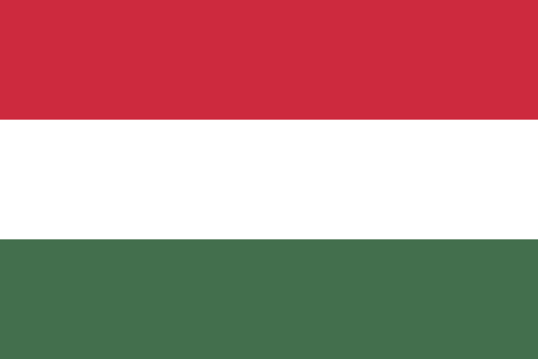 флаг таджикистана-19
