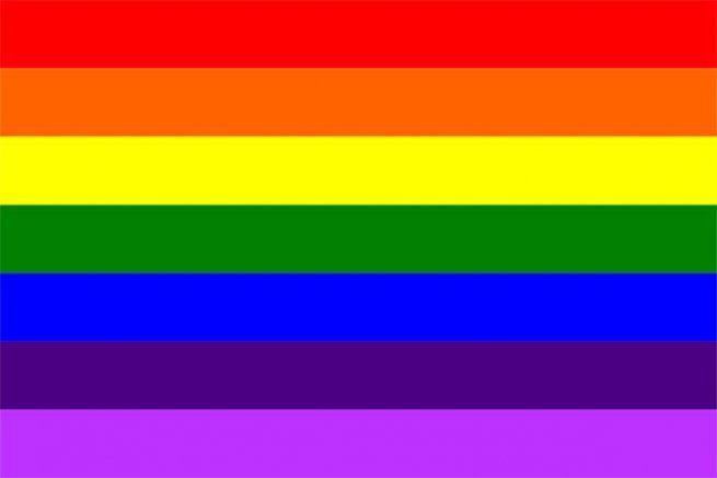 1978-1999 Pride flag