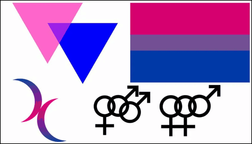 Welche Flagge der Bisexualität