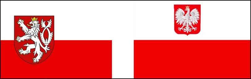 Снимка на флага на Чехия
