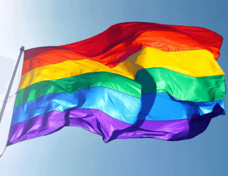 Flag of Homophobes